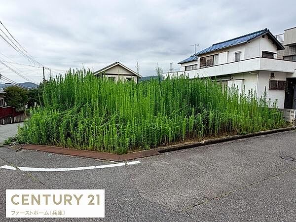 角地に位置する現地土地写真です。ゆとりある敷地形状となっています。周囲は住宅に囲まれており前面道路との接続も良好です。柔軟な活用が期待できる土地です。