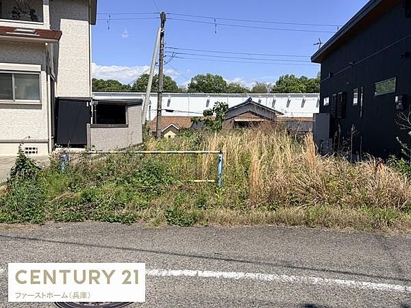 敷地は道路に面しており周囲には住宅が立ち並ぶエリアです。日当たりの良さが感じられる現地土地写真です。隣接する建物との距離が近く生活利便性にも配慮されています。敷地内は自然な植物が生い茂っています。
