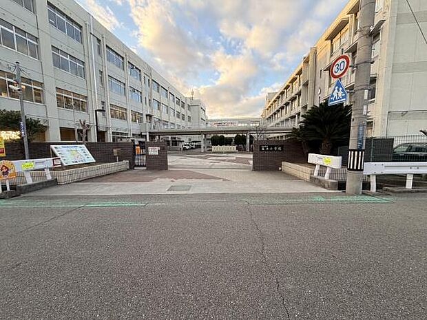 姫路市立高浜小学校まで1235m