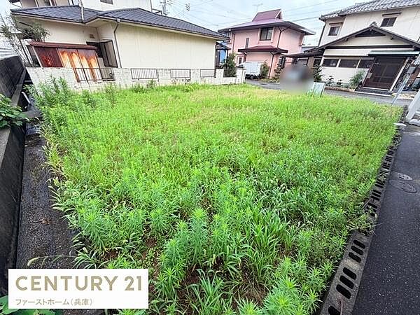 両側に住宅が建ち並ぶ静かなエリアに位置しています。間口が広く整った形状の現地土地写真です。日当たりが期待できる立地で道路に面しているためアクセスしやすいです。