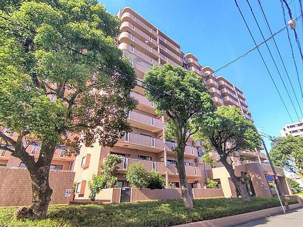 外観：345000041449