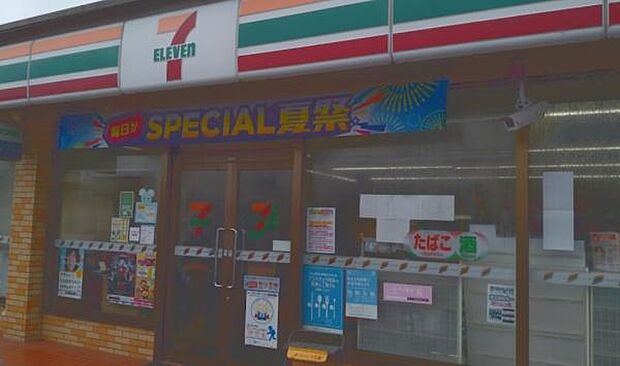 セブンイレブン 三股樺山店まで1379m