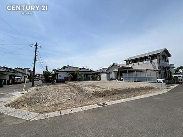 現地の現状写真になります。