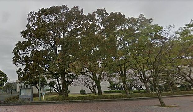 宮崎県総合文化公園まで556m