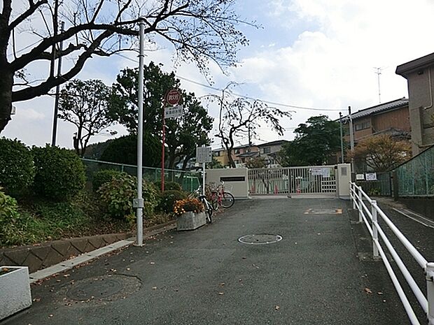 横浜市立笹野台小学校まで564m
