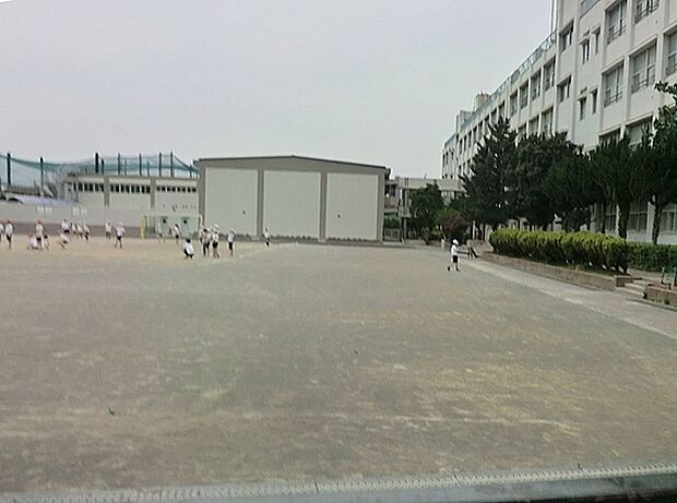 大和市立緑野小学校まで1055m