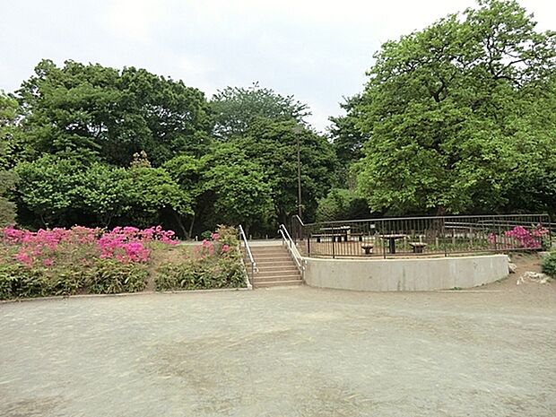 渋沢金井公園まで601m