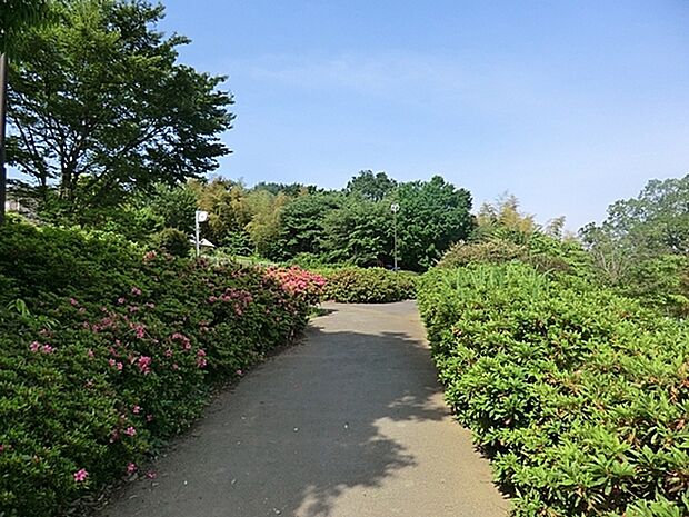 南菅生みどり公園まで178m