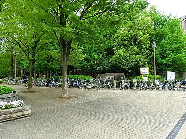 中央公園まで676m、市役所の向かいにある大型公園。休日の芝生の広場では、子供達が駆け回っています。