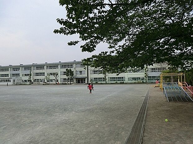 茅ケ崎市立松林小学校まで866m