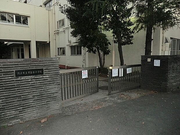 横浜市立常盤台小学校まで350m