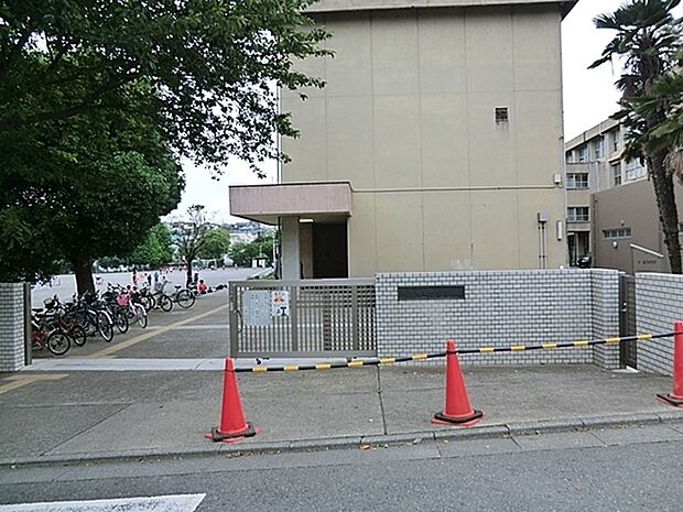 藤沢市立大庭小学校まで885m