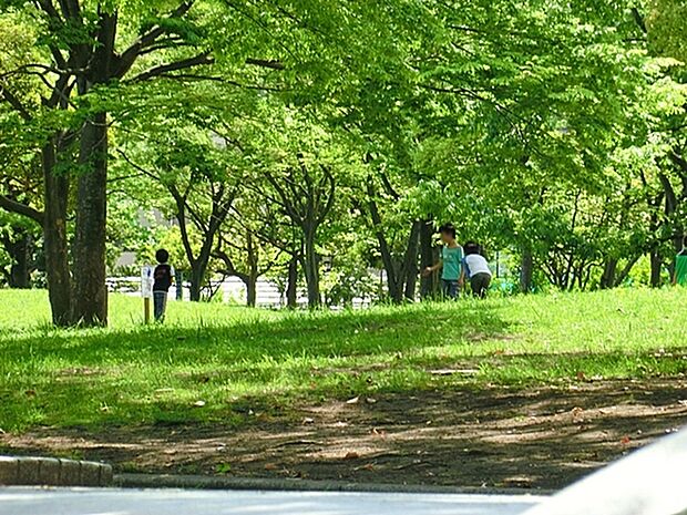 能見台中央公園まで325m