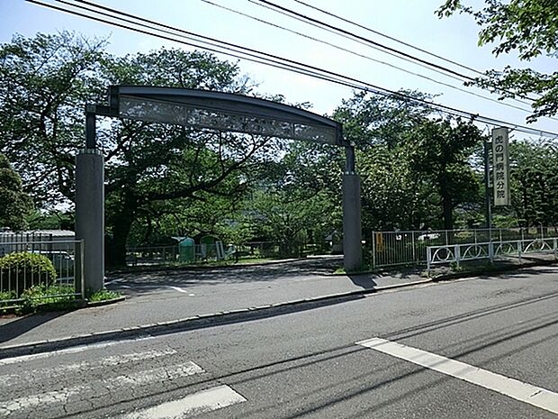 虎の門病院分院まで1089m