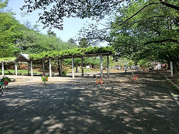 梶ケ谷第一公園まで553m