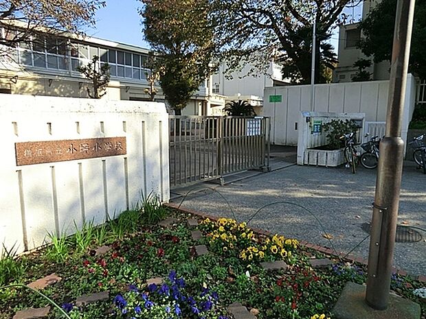 横浜市立小坪小学校まで1058m