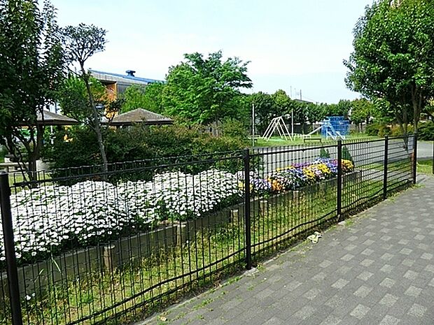 小中島公園まで783m