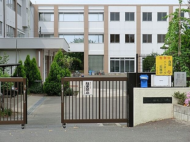 茅ヶ崎市立柳島小学校まで1621m
