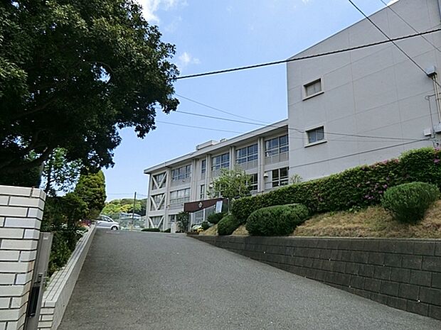 横須賀市立公郷中学校まで598m、勉学に、スポーツに、のびのびと、健やかに育つ生徒たちの学びの場。
