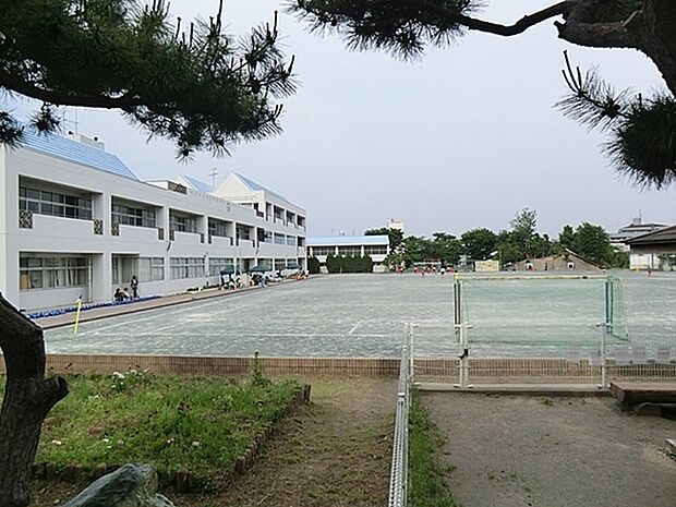 藤沢市立大道小学校まで982m