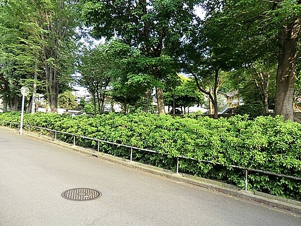 今宿しゃらの木公園まで627m