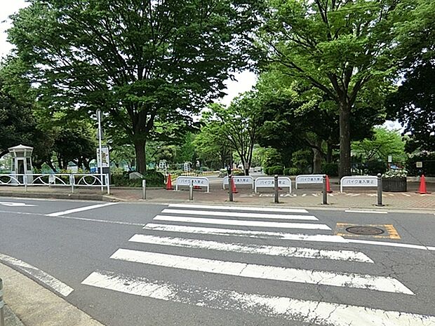 三ツ沢公園まで1271m、サッカーで有名な球技場、陸上競技場・テニスコート・乗馬場・遊具・散策道などが整備された公園。春にはお花見も楽しめます。