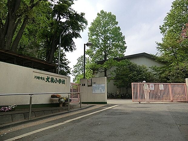 川崎市立犬蔵小学校まで595m