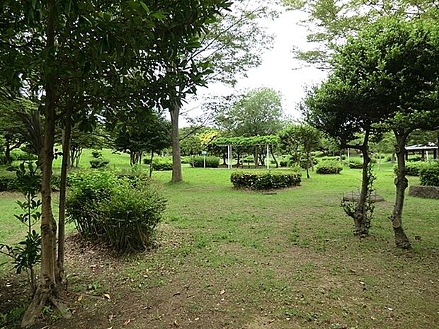 藤沢外科胃腸科医院まで1520m