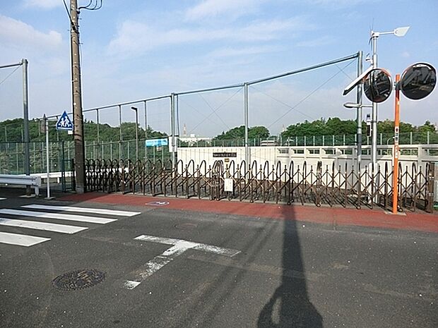 綾瀬市立北の台中学校まで1136m