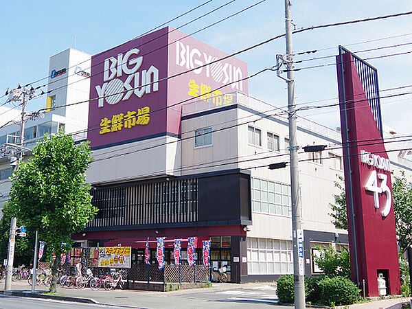 ビッグヨーサン綱島樽町店まで1374m、生鮮食品の品揃えが評判のスーパー。イオンも近くにあり、お買い物に便利です。