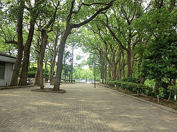 常盤公園まで330m