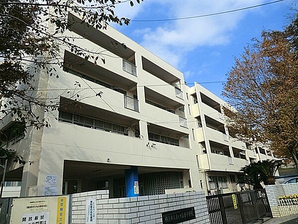 横浜市立美しが丘東小学校まで732m