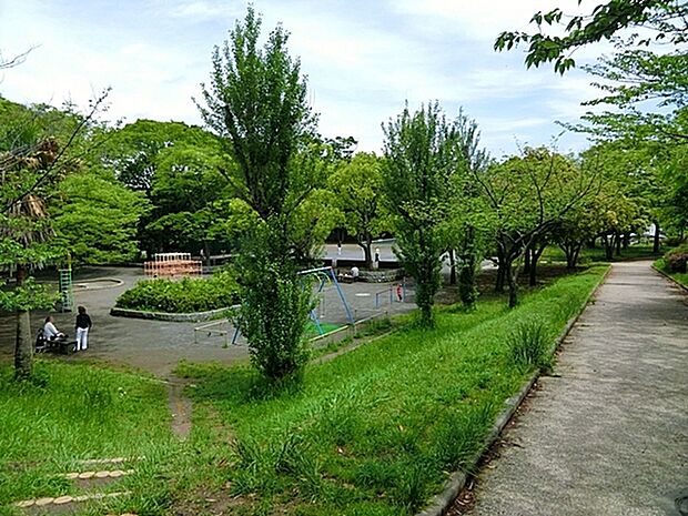 洋光台南公園まで576m