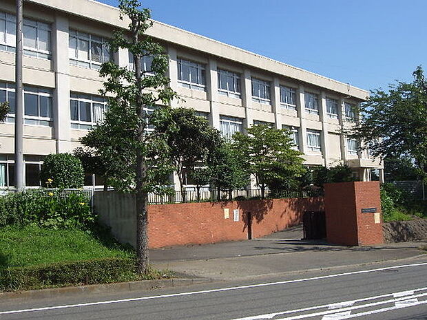 藤沢市立滝の沢小学校まで1229m