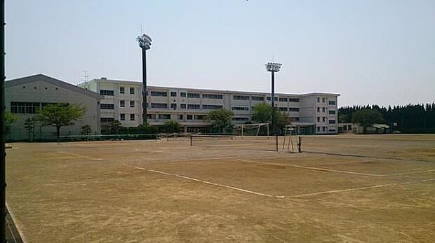 茅ヶ崎市立中島中学校まで1380m