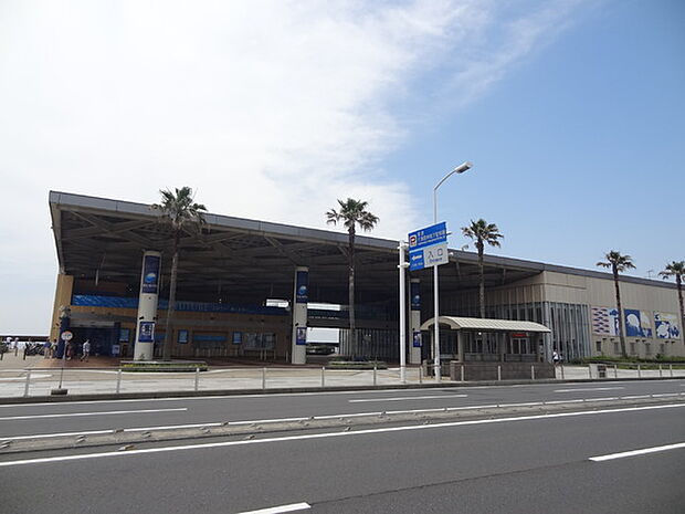 新江ノ島水族館まで1281m