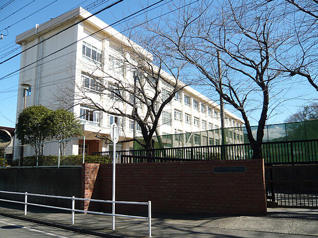 藤沢市立新林小学校まで1273m