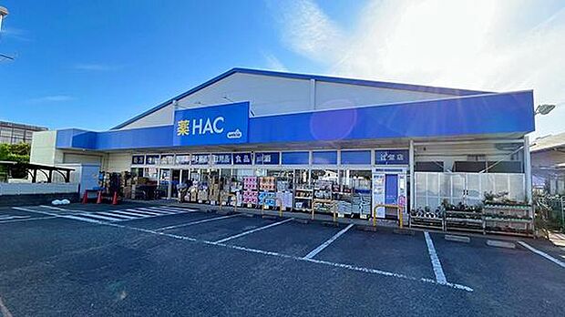 ハックドラッグ辻堂店まで1191m