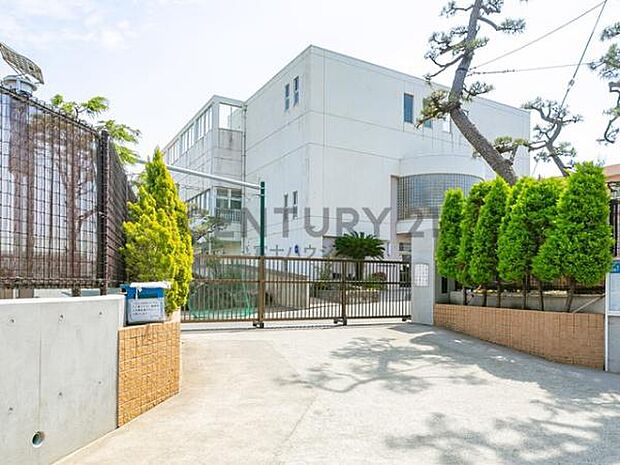 茅ヶ崎市立松浪小学校まで493m
