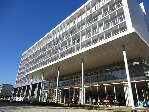 茅ヶ崎市役所まで1254m