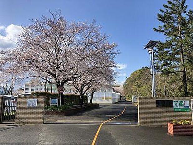 茅ヶ崎市立室田小学校まで792m