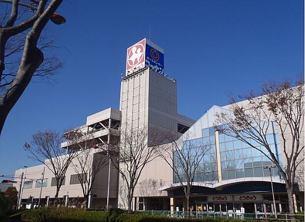 ホームセンターコーナン湘南藤沢店まで1017m