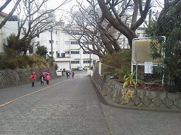 藤沢市立大越小学校まで1611m