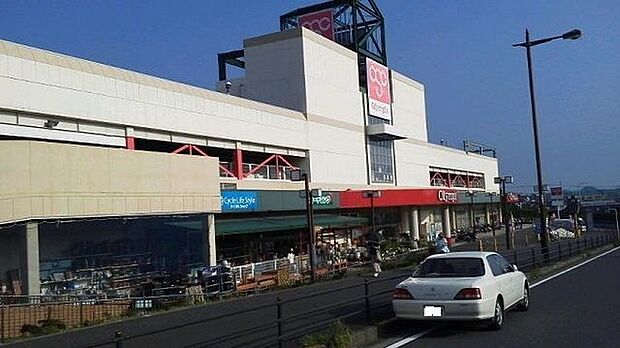 Olympic藤沢店まで1481m