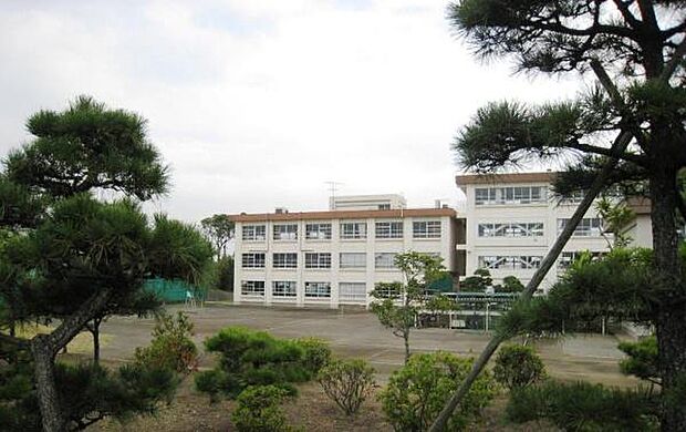 茅ヶ崎市立松林中学校まで205m