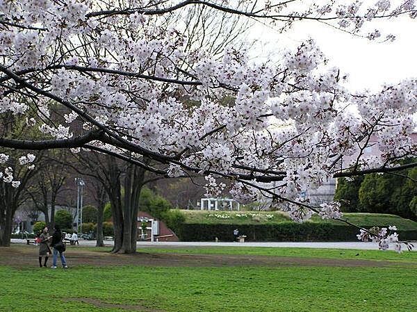 中央公園まで960m