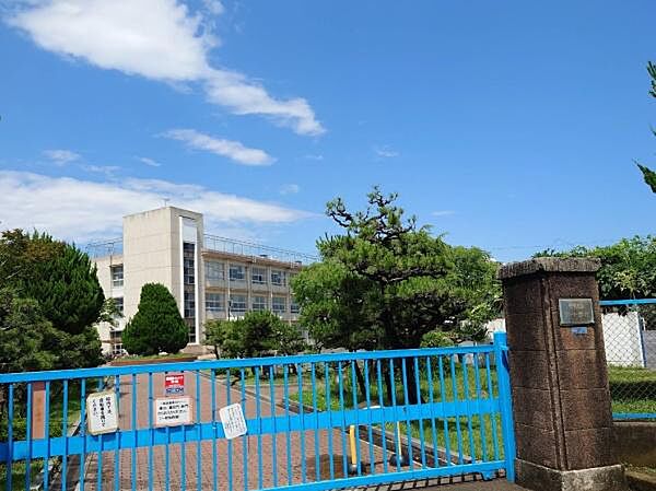 平塚市立港小学校まで257m
