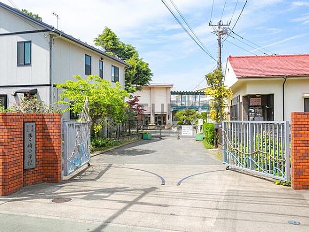 茅ヶ崎市立茅ヶ崎小学校まで1121m