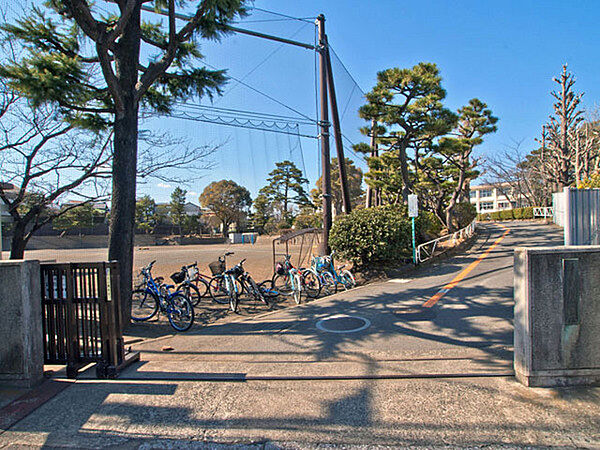 藤沢小学校まで855m