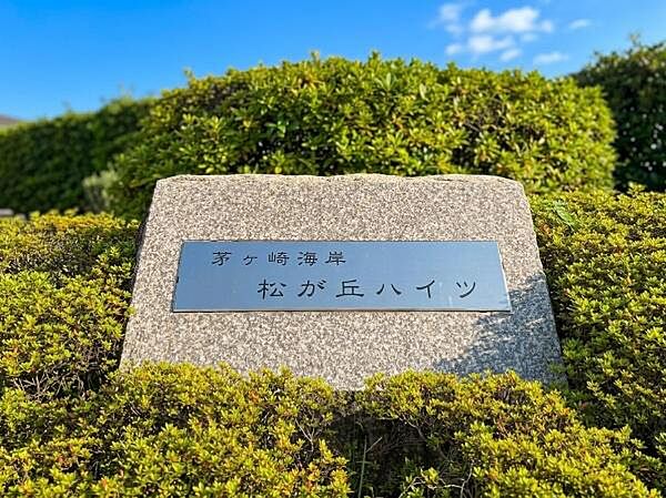 お気軽にお問い合わせください！※AIによる画像加工を行っております。